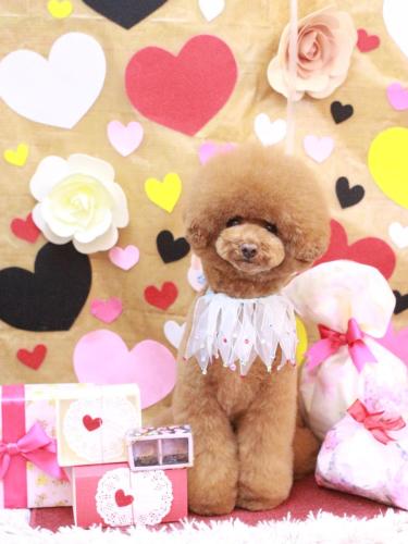 20230216こじろうくん